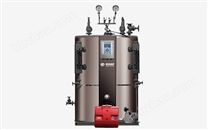 LHS系列立式燃油氣蒸汽鍋爐