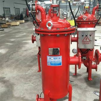 dqds反沖洗自清洗過濾器設備