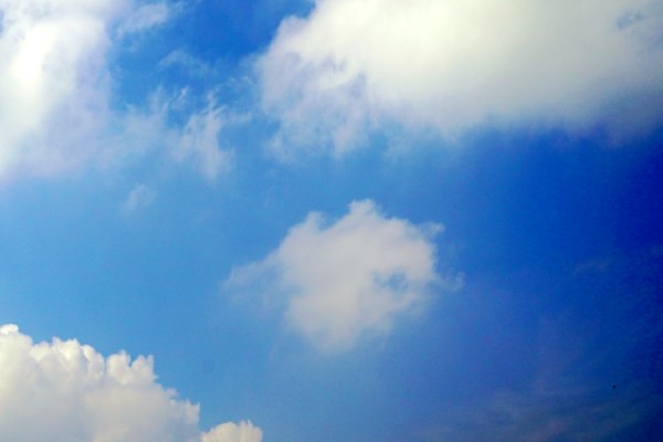 Invitation for Individual Members of China Energy Research Association