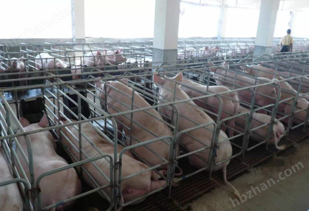 養(yǎng)殖污水處理設(shè)備