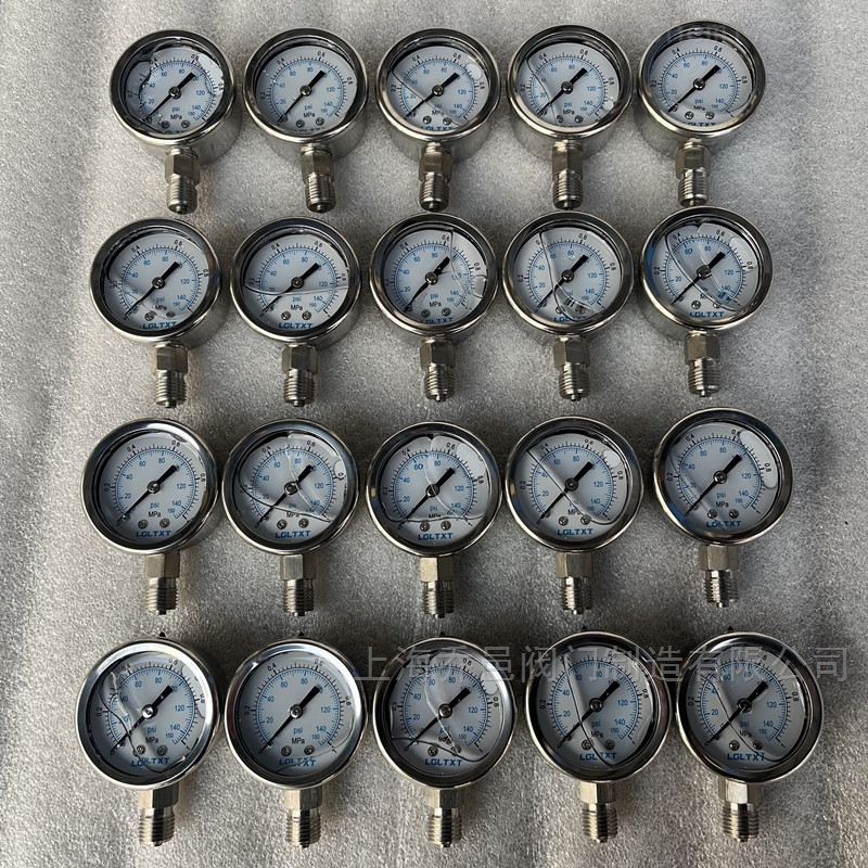 脉冲阻尼器专用抗震压力表